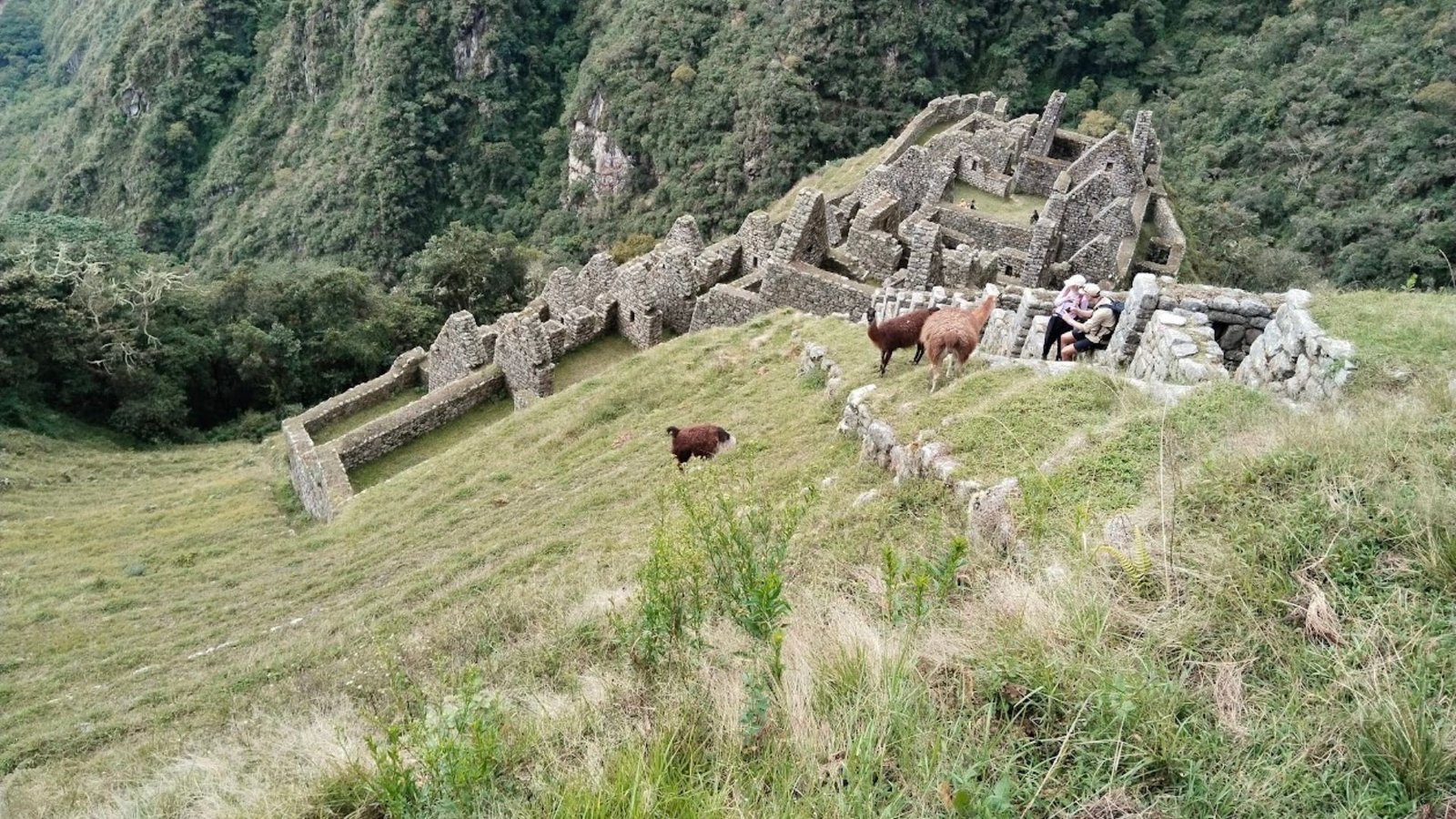 Short Inca Trail 2 Days hike to Machu Picchu with Sun Gate entrance